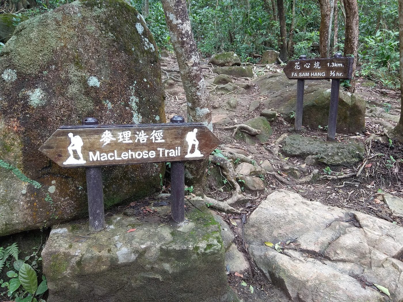 New Territories highlights